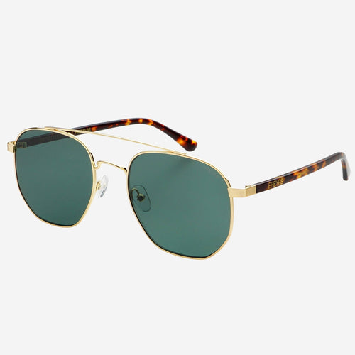 austin freyrs sunglasses
